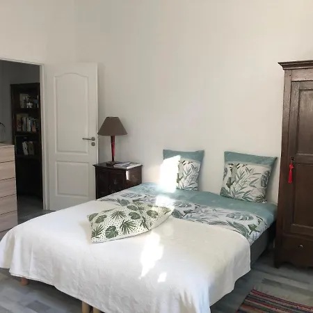 Camelia Grand Studio Quartier Thermal Appartement *