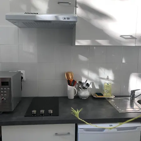 Camelia Grand Studio Quartier Thermal * Vichy